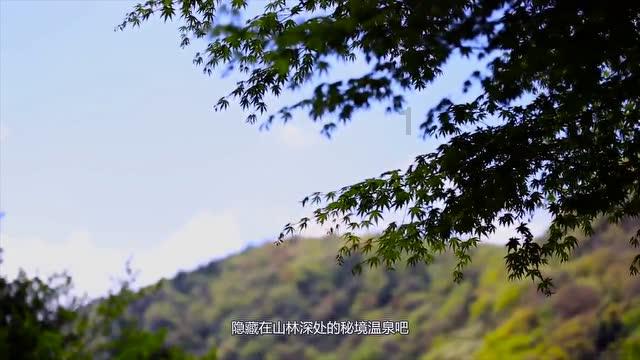 孙俪的妹妹竟出演《要久久爱》，资源是真的好