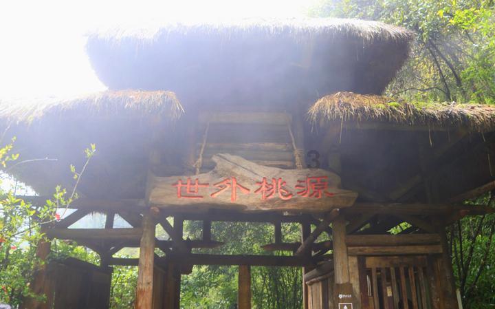 失业老公化身“政府领导” 轮椅女骗亲友几百万 被抓时健步如飞？