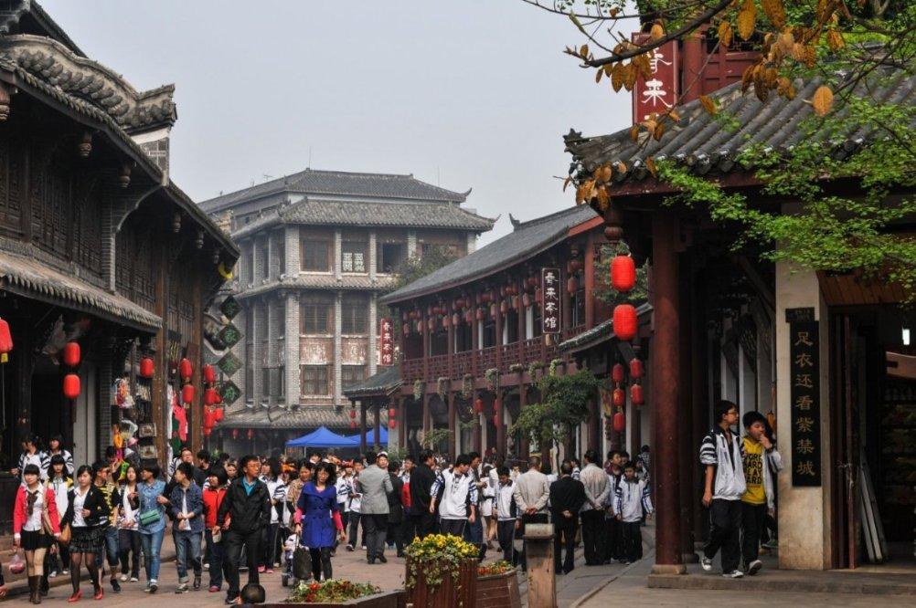 怎样控制狗不让他动